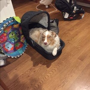 Meet your Posher, Anne-sophie